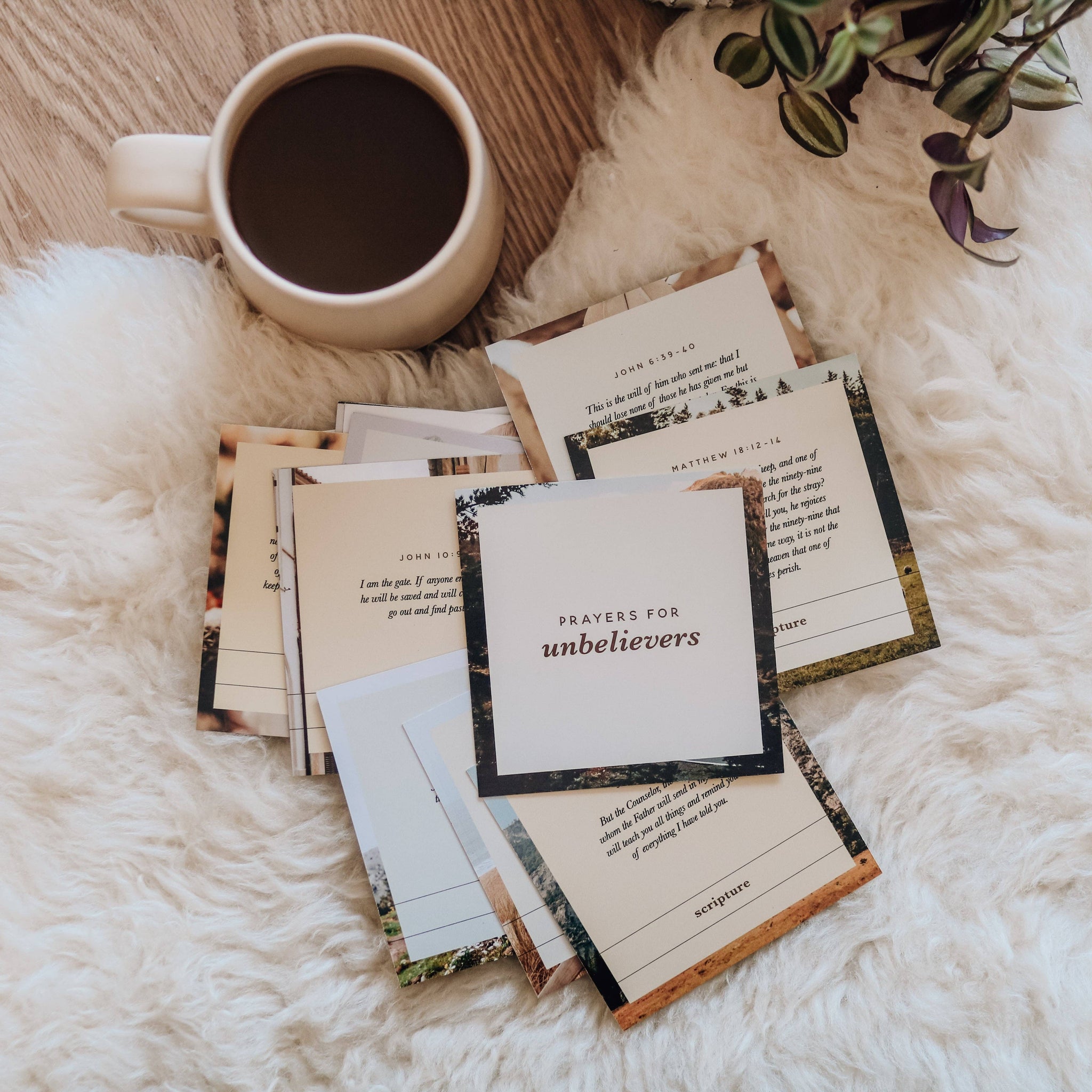 Prayers for Unbelievers Verse Card Set-MODE-Couture-Boutique-Womens-Clothing