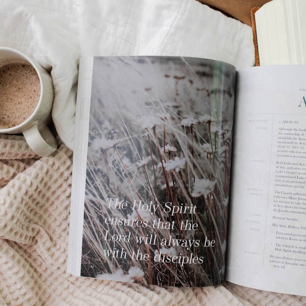Behold: A Study of the New Testament | Volume 2 | John - Rom-MODE-Couture-Boutique-Womens-Clothing