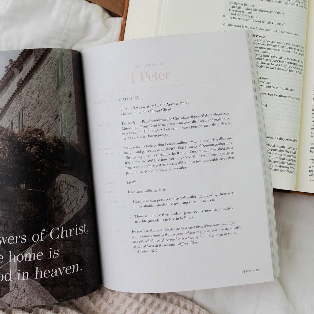 Behold: A Study of the New Testament | Volume 4 | Philemon -MODE-Couture-Boutique-Womens-Clothing