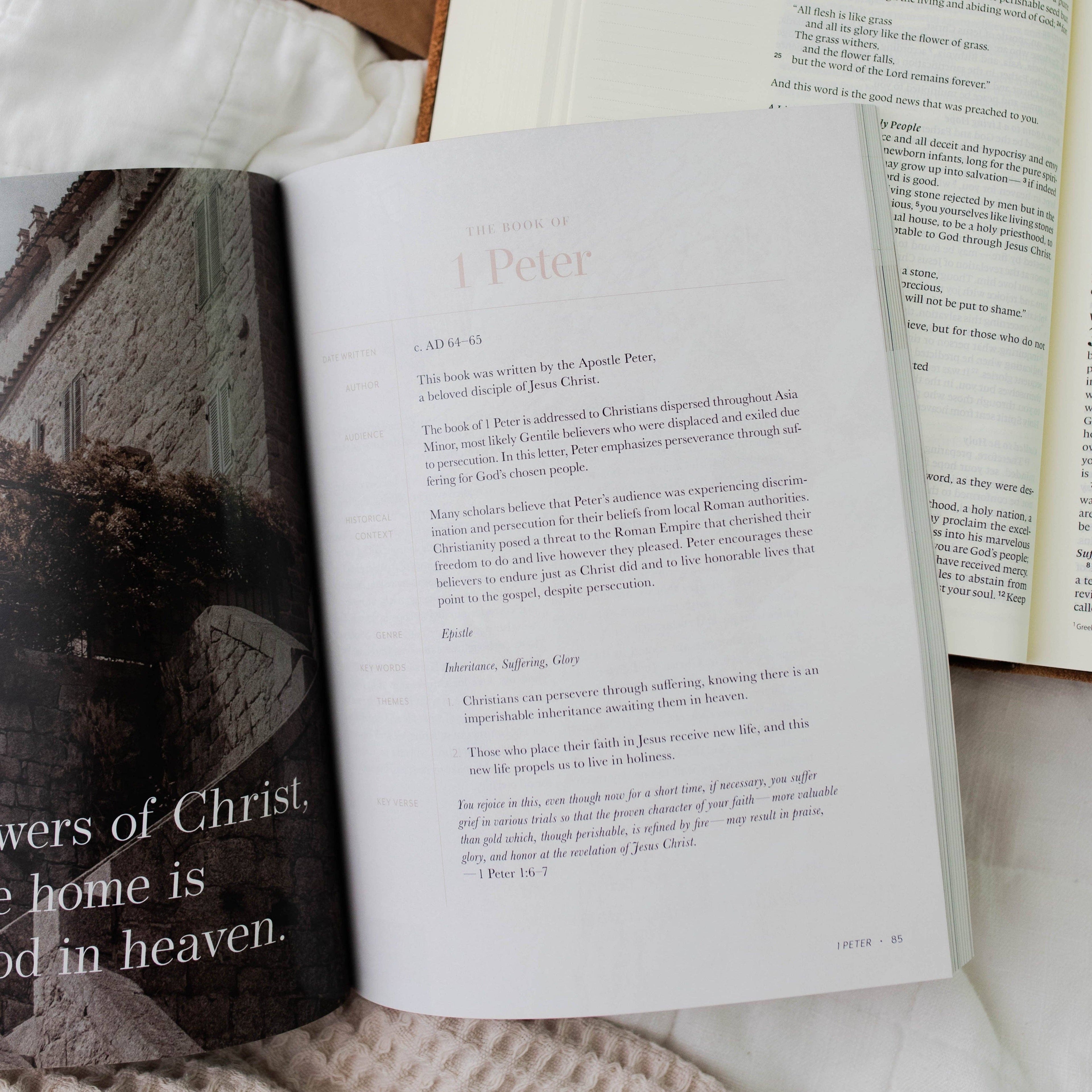 Behold: A Study of the New Testament | Volume 4 | Philemon -MODE-Couture-Boutique-Womens-Clothing