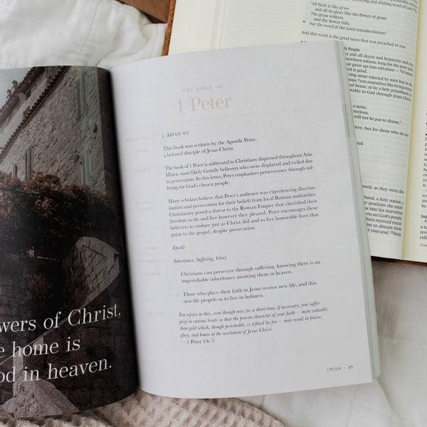 Behold: A Study of the New Testament | Volume 4 | Philemon -MODE-Couture-Boutique-Womens-Clothing