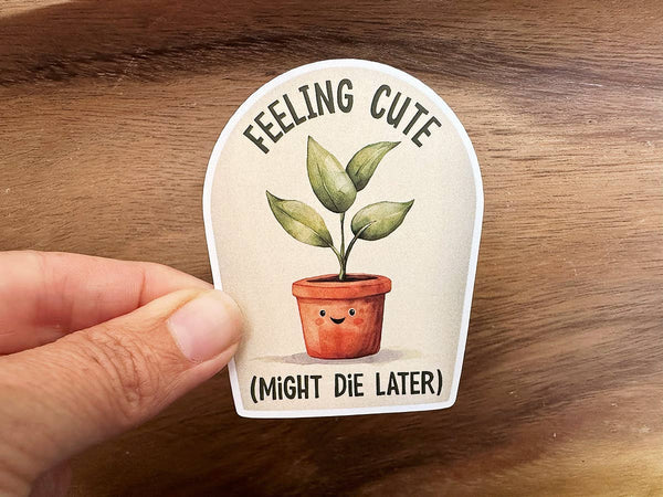 Feeling Cute, Might Die Later | Funny Plant Sticker | Plants: Medium-MODE-Couture-Boutique-Womens-Clothing