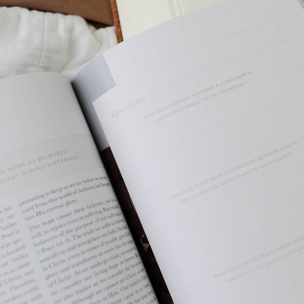 Behold: A Study of the New Testament | Volume 4 | Philemon -MODE-Couture-Boutique-Womens-Clothing