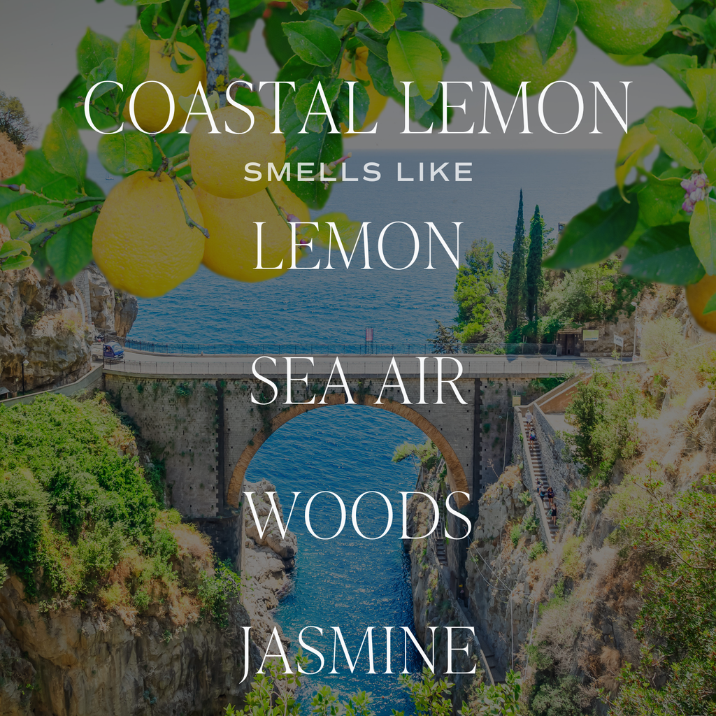 COASTAL LEMON REED DIFFUSER-REED DIFFUSER-MODE-Couture-Boutique-Womens-Clothing