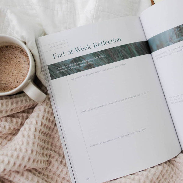 Behold: A Study of the New Testament | Volume 2 | John - Rom-MODE-Couture-Boutique-Womens-Clothing