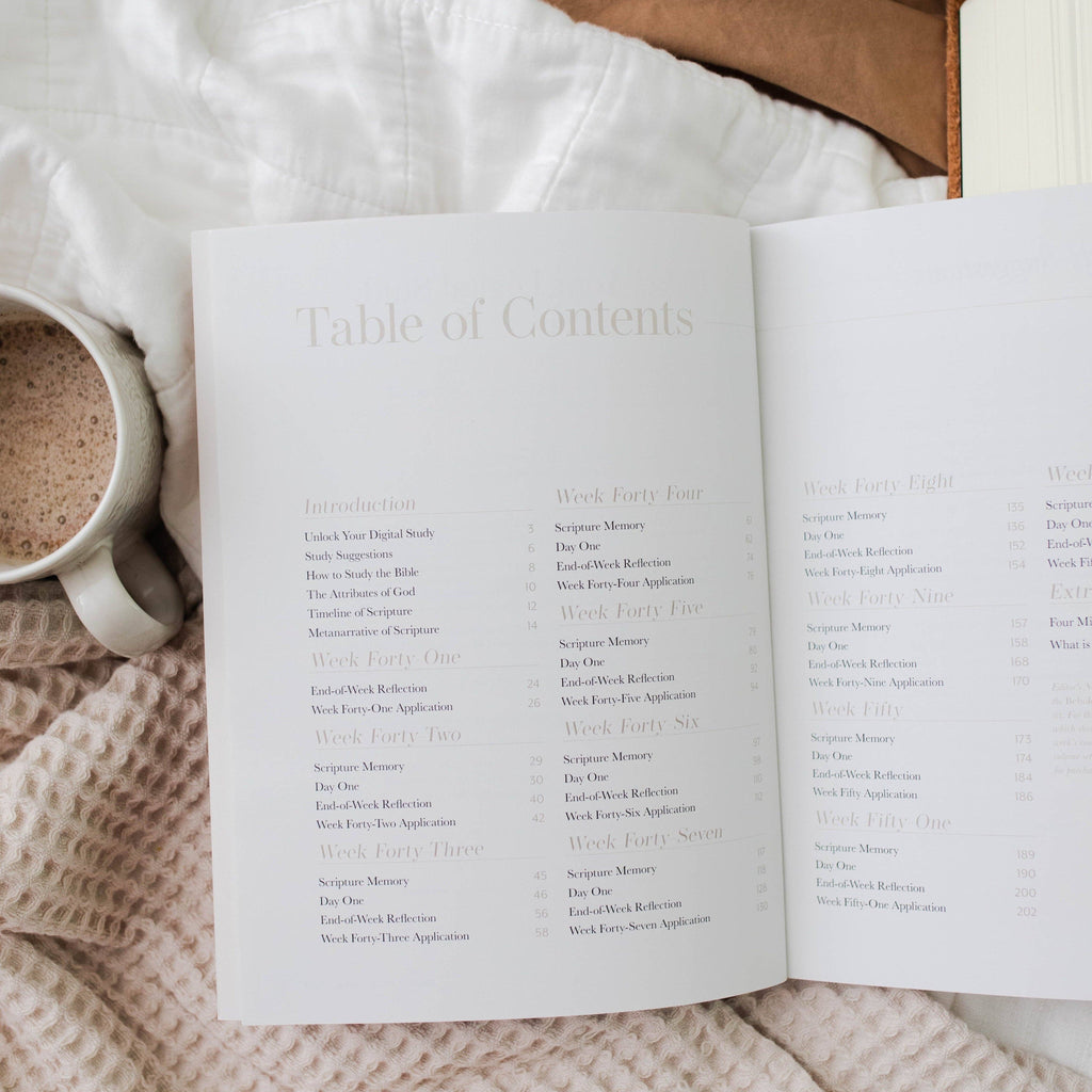 Behold: A Study of the New Testament | Volume 4 | Philemon -MODE-Couture-Boutique-Womens-Clothing