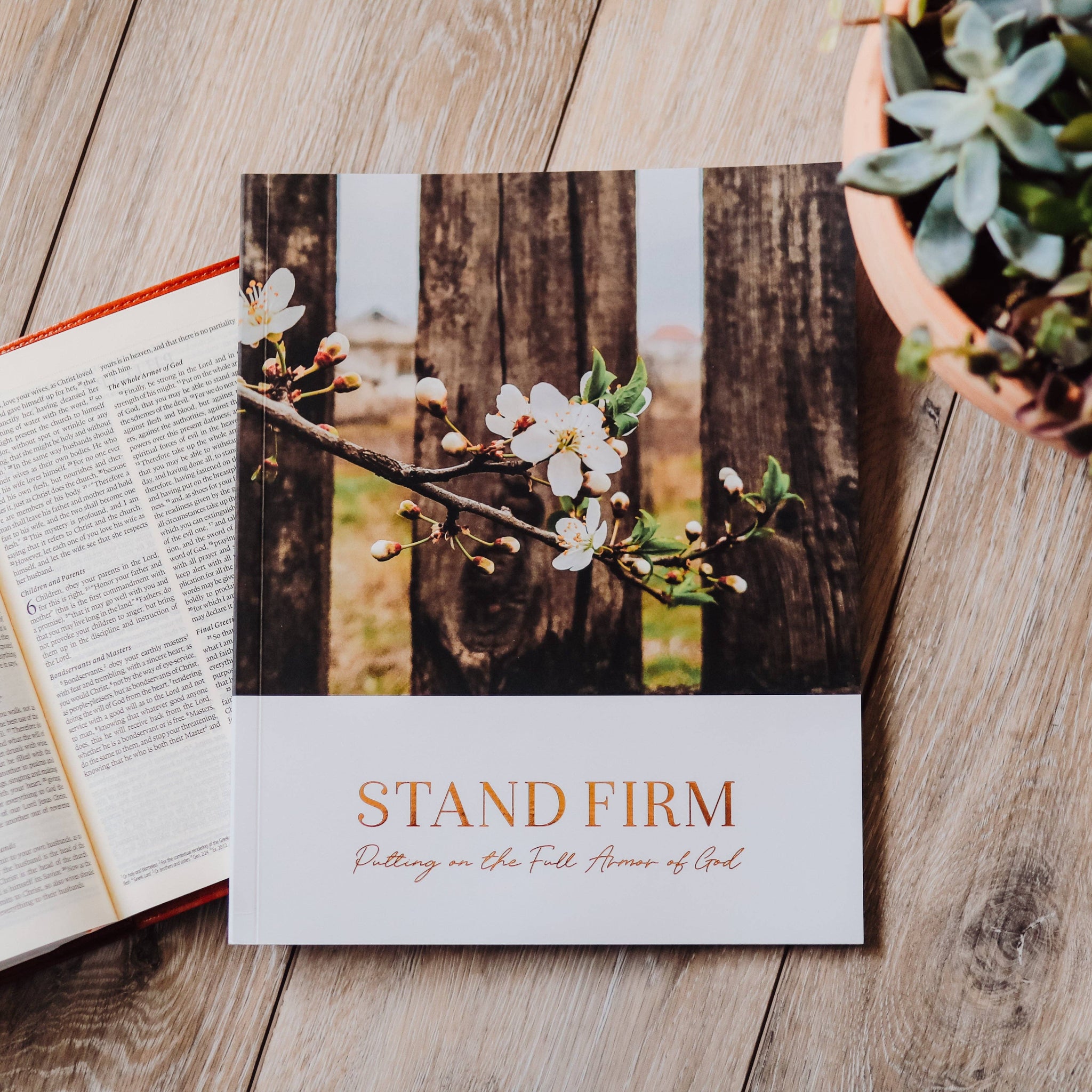 STAND FIRM | ARMOR OF GOD-Bible Study-MODE-Couture-Boutique-Womens-Clothing