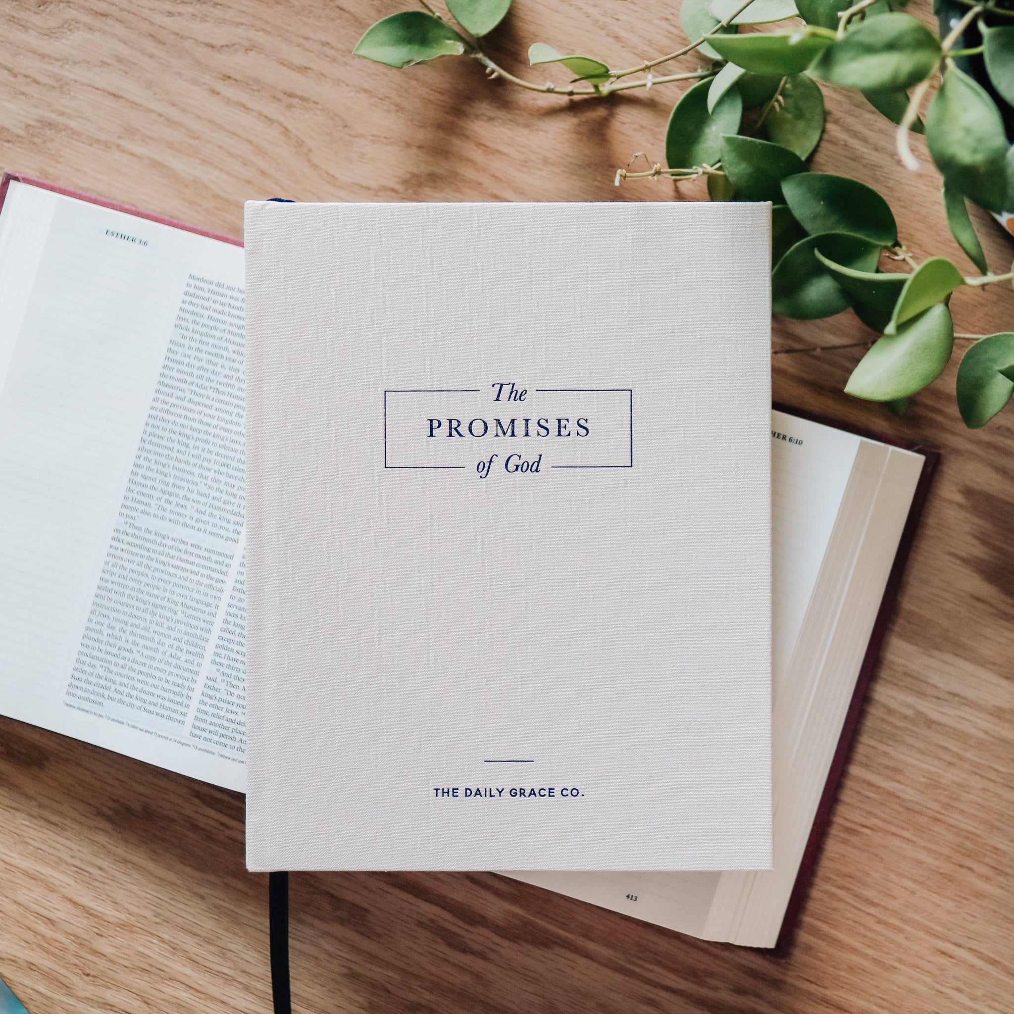 The Promises of God | Coffee Table Book-MODE-Couture-Boutique-Womens-Clothing